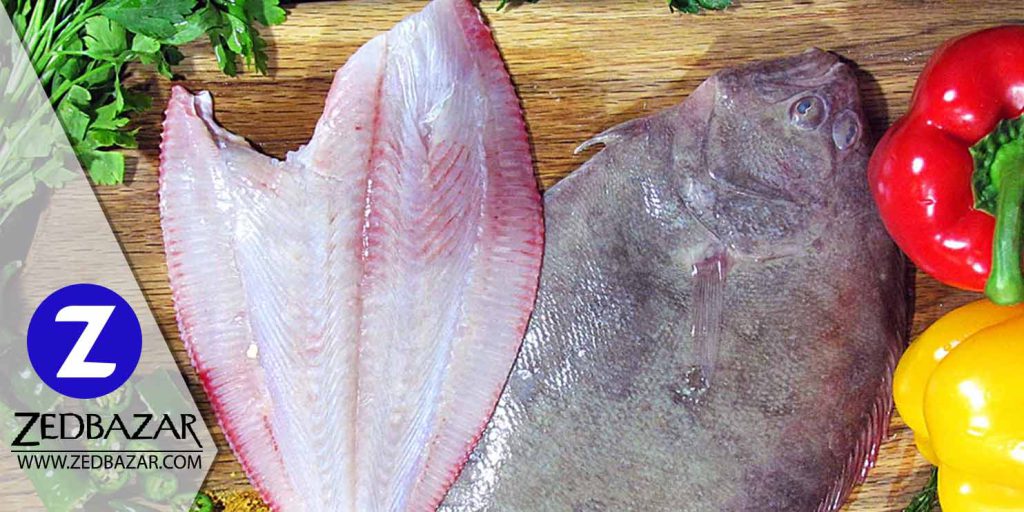 از ماهی کفشک چه می دانید؟