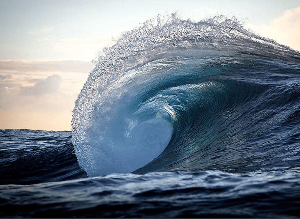 انواع موج