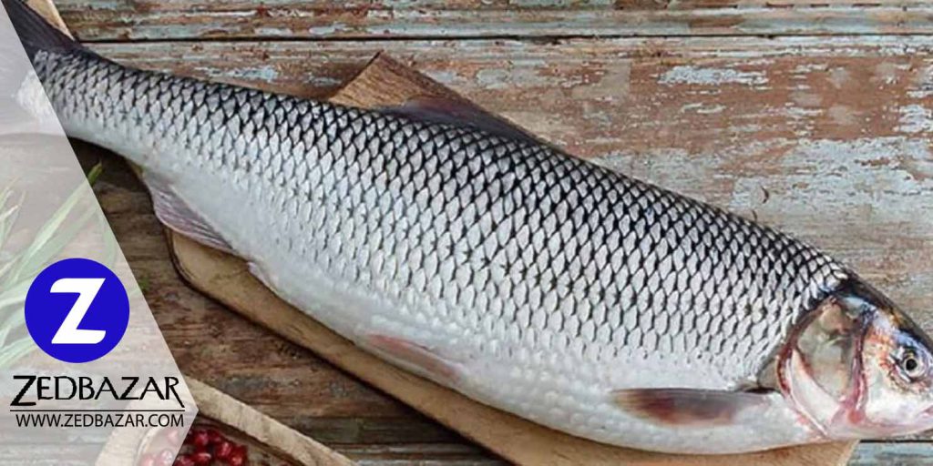 10 خاصیت بی نظیر ماهی سفید برای بدن
