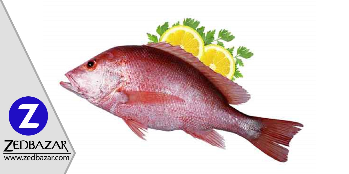 از خواص بسیار خوب ماهی سرخو چه می دانید؟