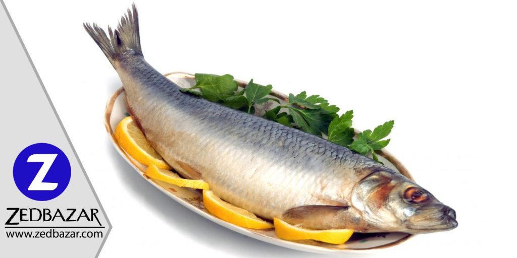 نکاتی که برای خرید ماهی سالم باید بدانید